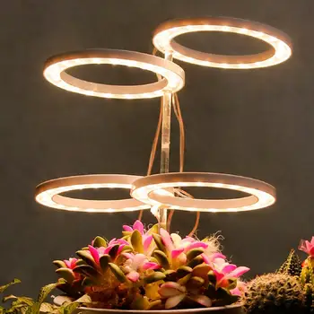 Светильник для выращивания ангельского кольца с тремя спектрами, дополнительно от 1 до 2 цветов, овощных суккулентов, лампа для выращивания растений в помещении