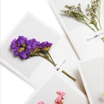 1 упаковка маленьких свежих цветов, поздравительных открыток из сухоцветов, Рождественских поздравительных открыток DIY 16*9 см, свадебных открыток ручной работы